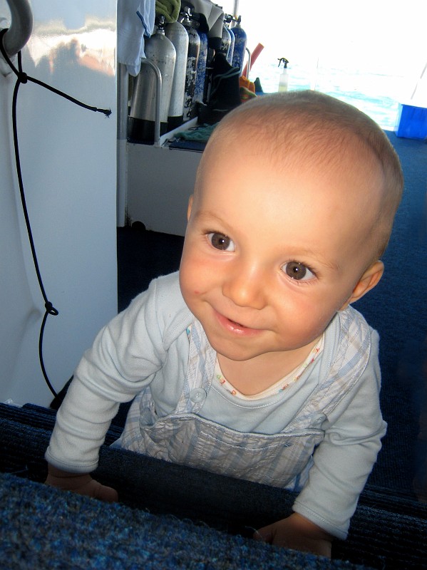 2009-11-06 22-02-05_4.jpg - Achtung, Hai Happen auf Tour